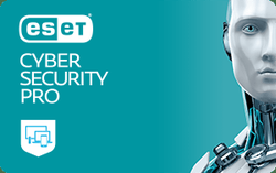 ESET Cyber Security Pro на 1 рік ПОНОВЛЕННЯ 3 об'єкта