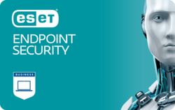 ESET Endpoint Security на 1 год (от 11 до 25)