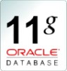 Oracle Enterprise Edition Processor License with Software Update License & Support