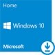 Windows Home 10 Lic Online