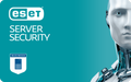 ESET Server Security для Terminal Server на 1 рік ПІЛЬГОВИЙ (від 50 до 99)
